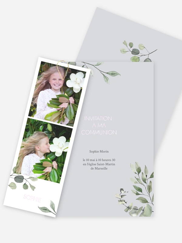 Feuilles d'eucalyptus