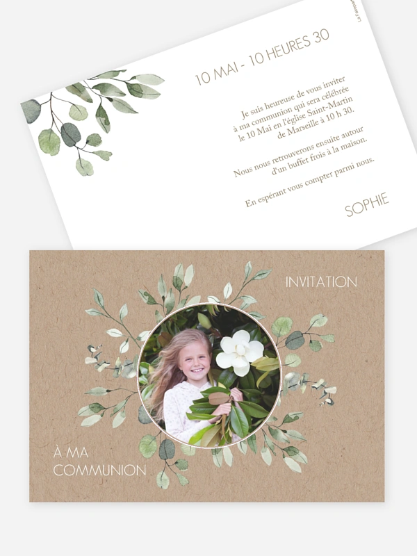 Feuilles d'eucalyptus