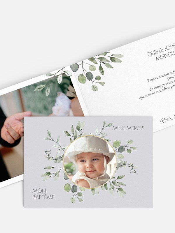 Feuilles d'eucalyptus