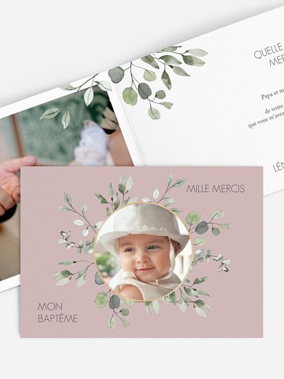 Feuilles d'eucalyptus