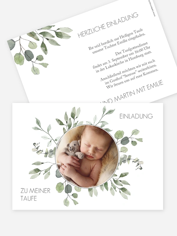 Eucalyptus Leaves