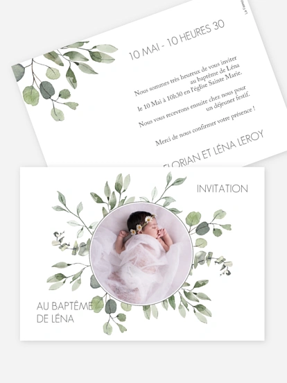 Feuilles d'eucalyptus Feuilles d'eucalyptus