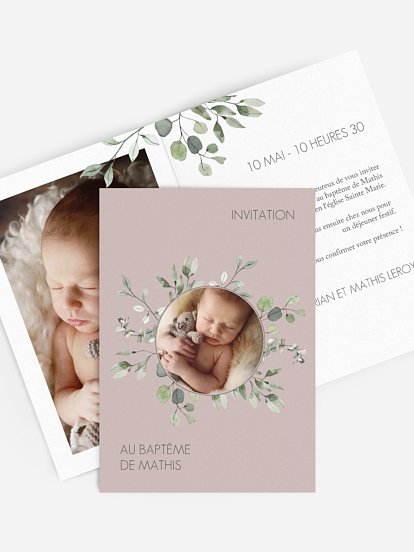 Feuilles d'eucalyptus