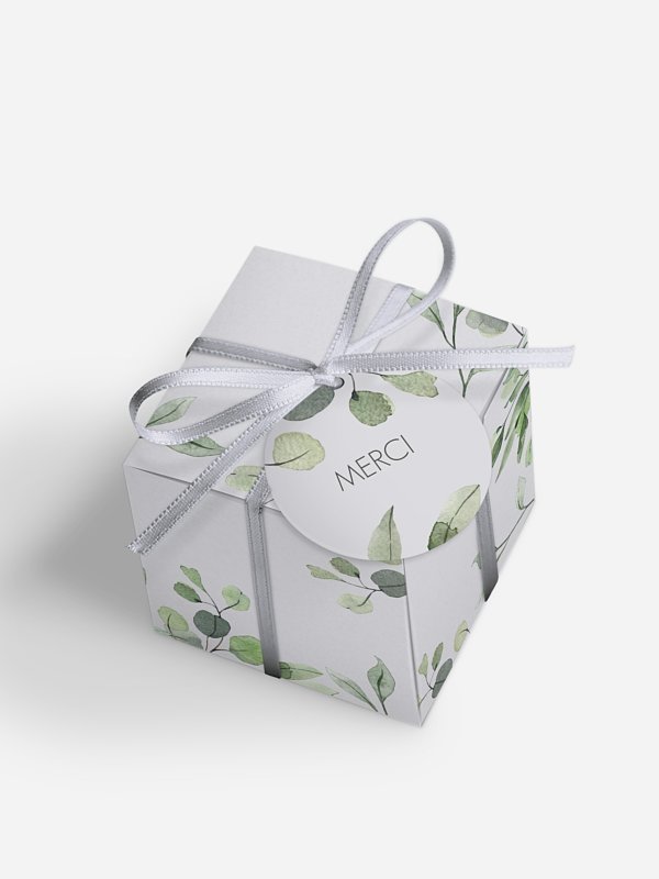 Feuilles d'eucalyptus