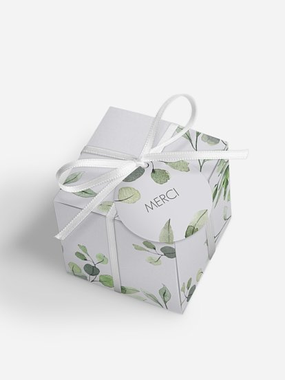 Feuilles d'eucalyptus