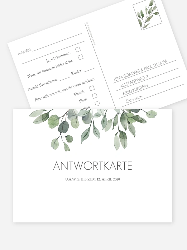 Eucalyptus Leaves
