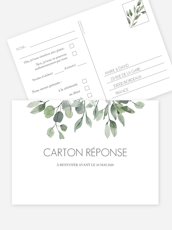Feuilles d'eucalyptus