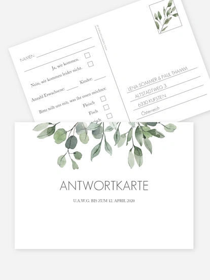 Eucalyptus Leaves Eucalyptus Leaves