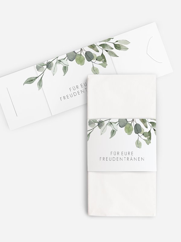 Eucalyptus Leaves