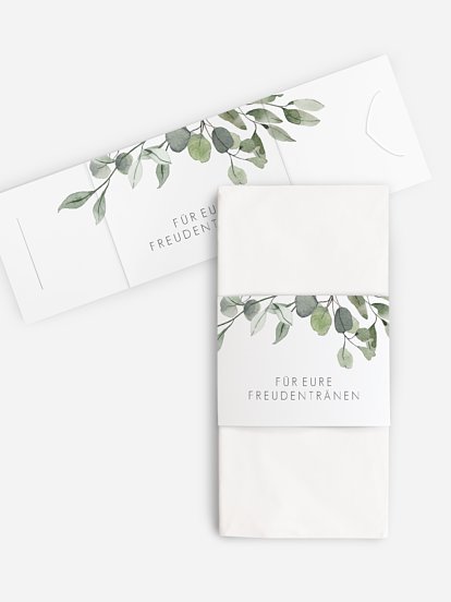 Eucalyptus Leaves Eucalyptus Leaves