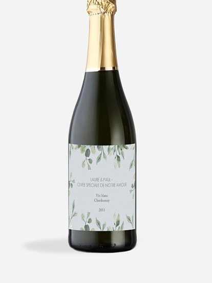 Feuilles d'eucalyptus