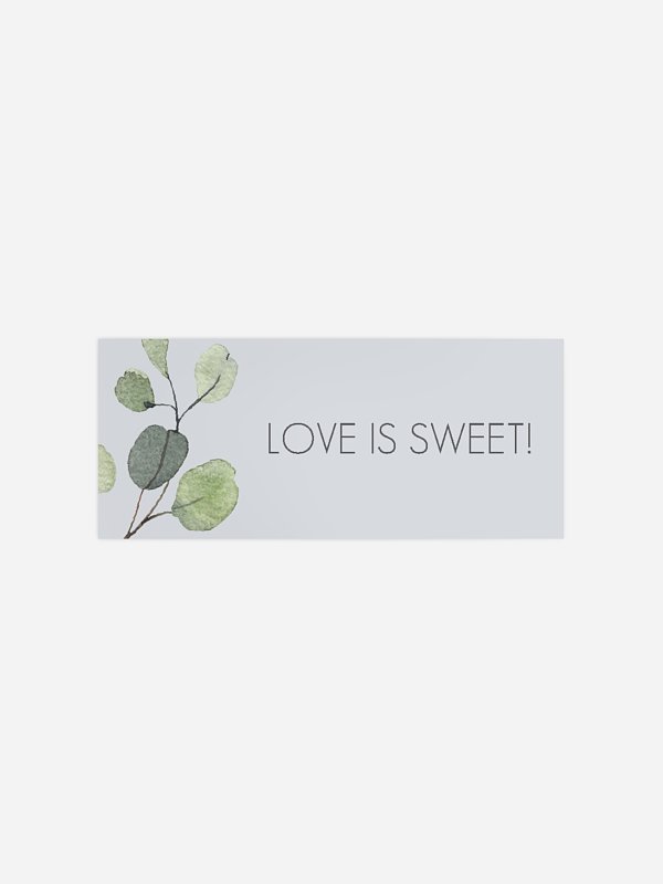 Eucalyptus Leaves