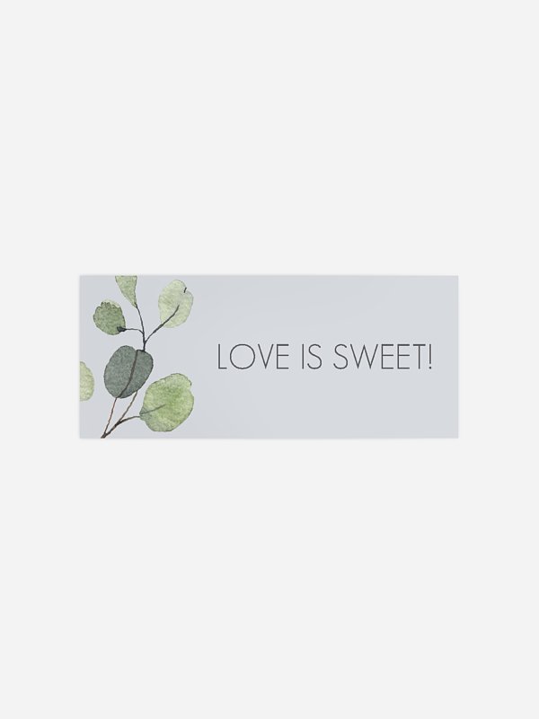 Eucalyptus Leaves