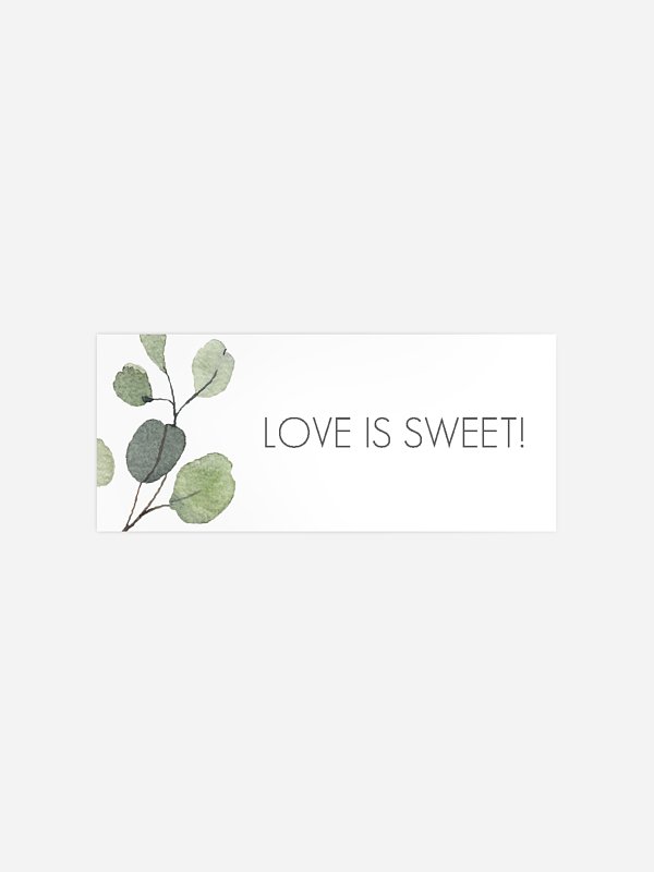 Eucalyptus Leaves