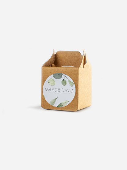 Feuilles d'eucalyptus