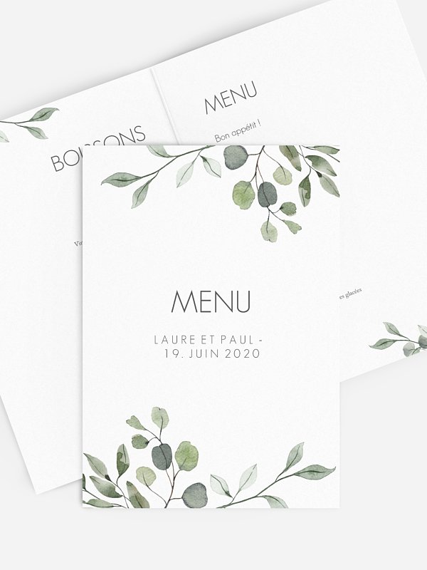 Feuilles d'eucalyptus