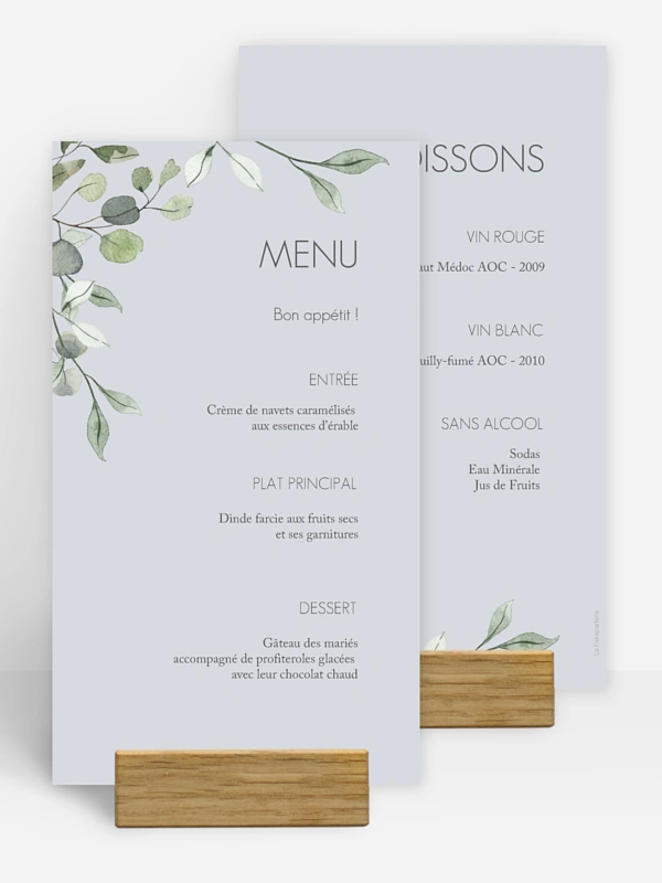 Feuilles d'eucalyptus