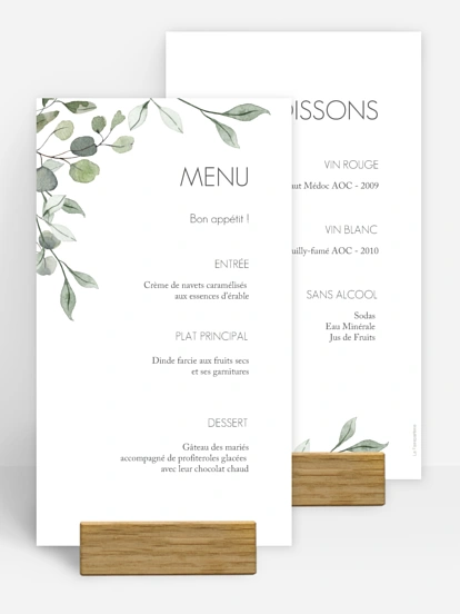 Feuilles d'eucalyptus