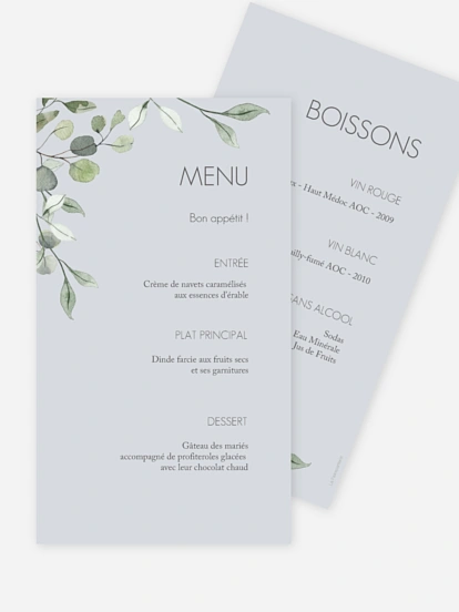 Feuilles d'eucalyptus