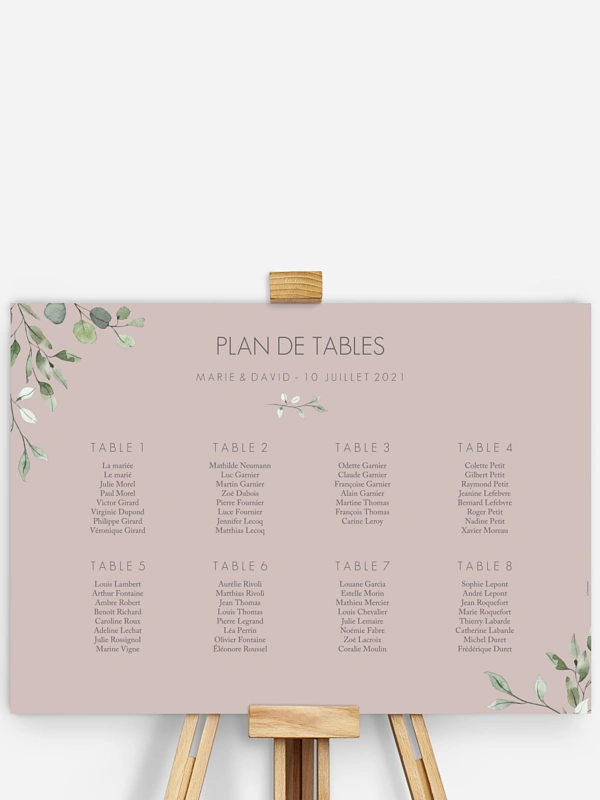 Feuilles d'eucalyptus