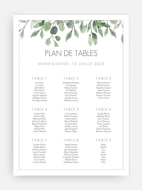 Feuilles d'eucalyptus
