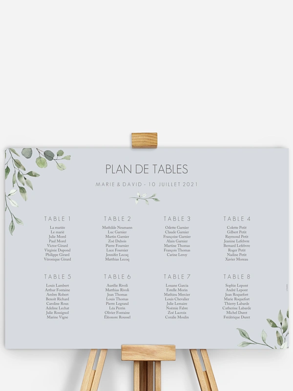 Feuilles d'eucalyptus