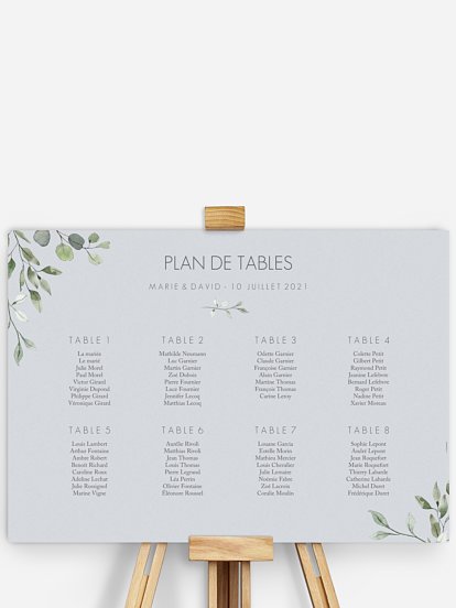 Feuilles d'eucalyptus