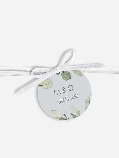 Feuilles d'eucalyptus