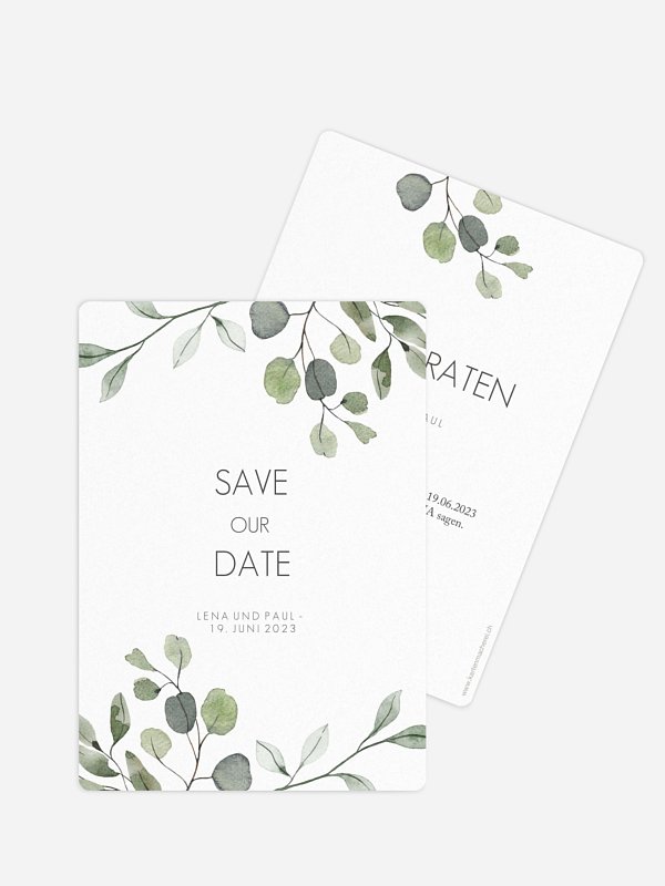 Eucalyptus Leaves