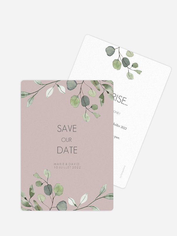 Feuilles d'eucalyptus