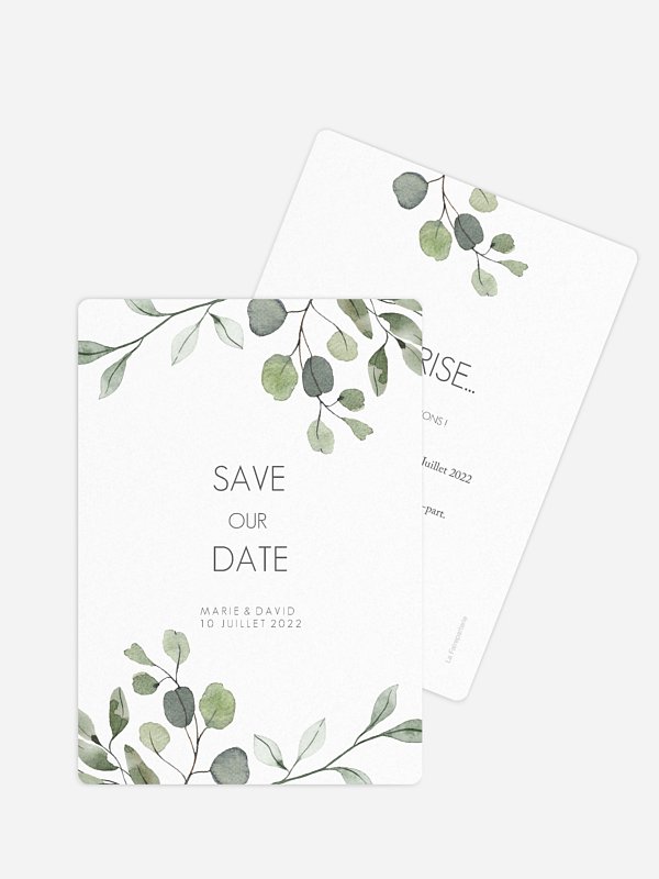 Feuilles d'eucalyptus