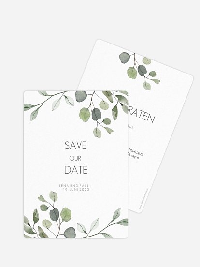 Eucalyptus Leaves Eucalyptus Leaves