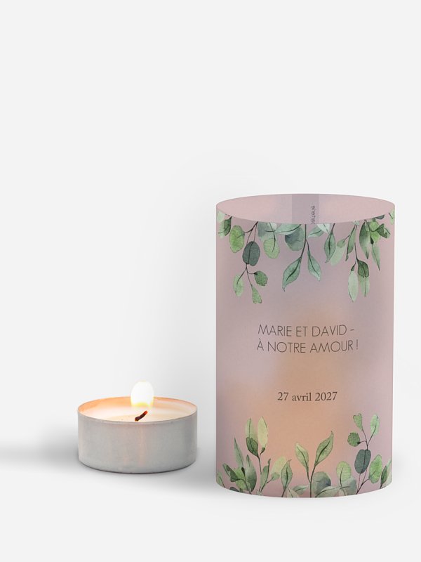 Feuilles d'eucalyptus