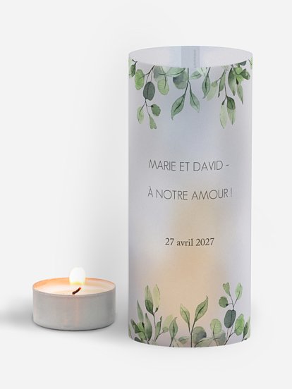 Feuilles d'eucalyptus