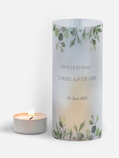 Eucalyptus Leaves Eucalyptus Leaves