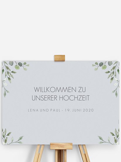 Eucalyptus Leaves Eucalyptus Leaves