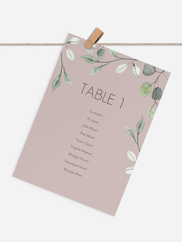 Feuilles d'eucalyptus