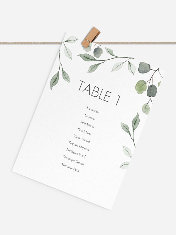 Feuilles d'eucalyptus