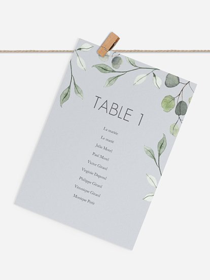 Feuilles d'eucalyptus