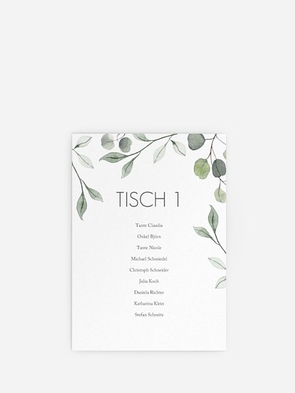 Eucalyptus Leaves Eucalyptus Leaves