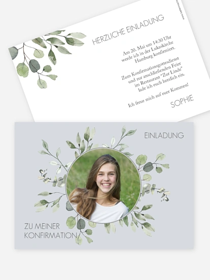 Eucalyptus Leaves Eucalyptus Leaves