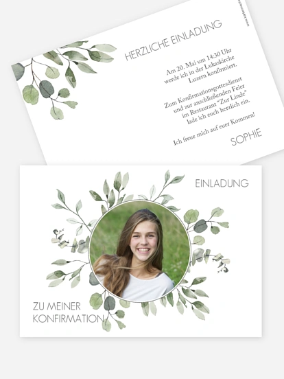 Eucalyptus Leaves Eucalyptus Leaves