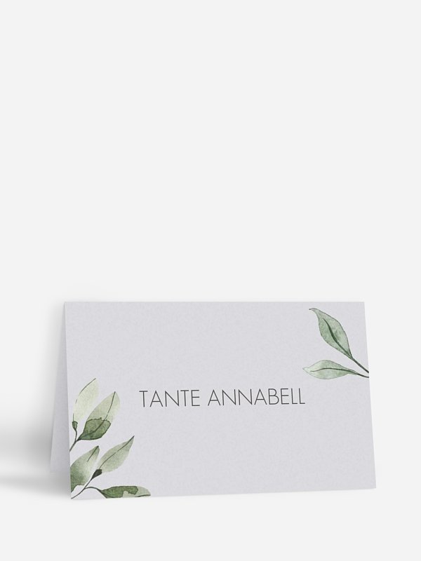 Eucalyptus Leaves