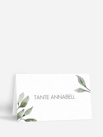 Eucalyptus Leaves Eucalyptus Leaves