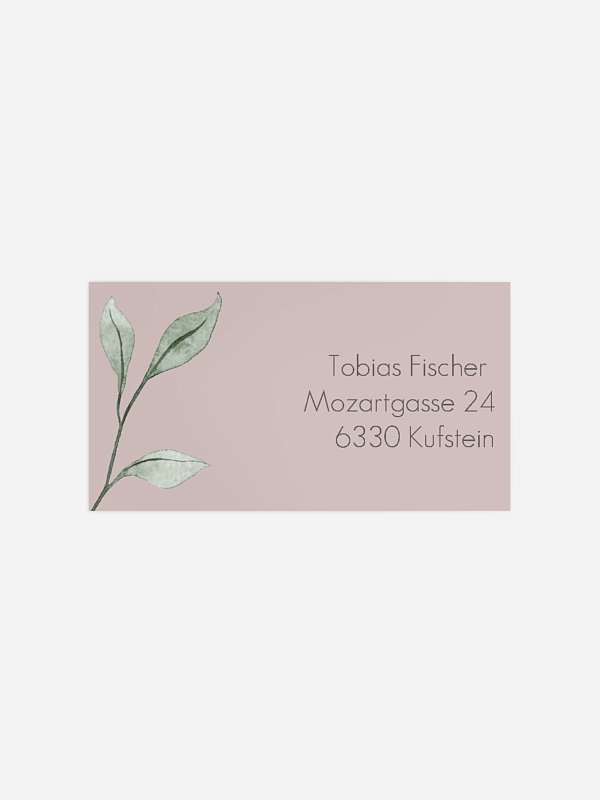 Eucalyptus Leaves