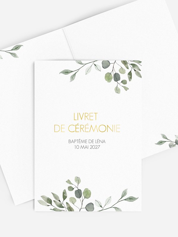 Feuilles d'eucalyptus