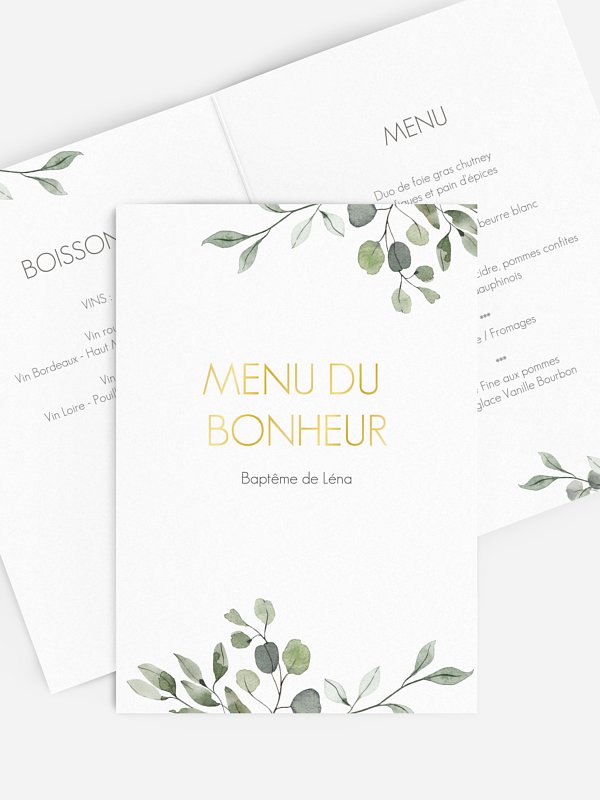 Feuilles d'eucalyptus