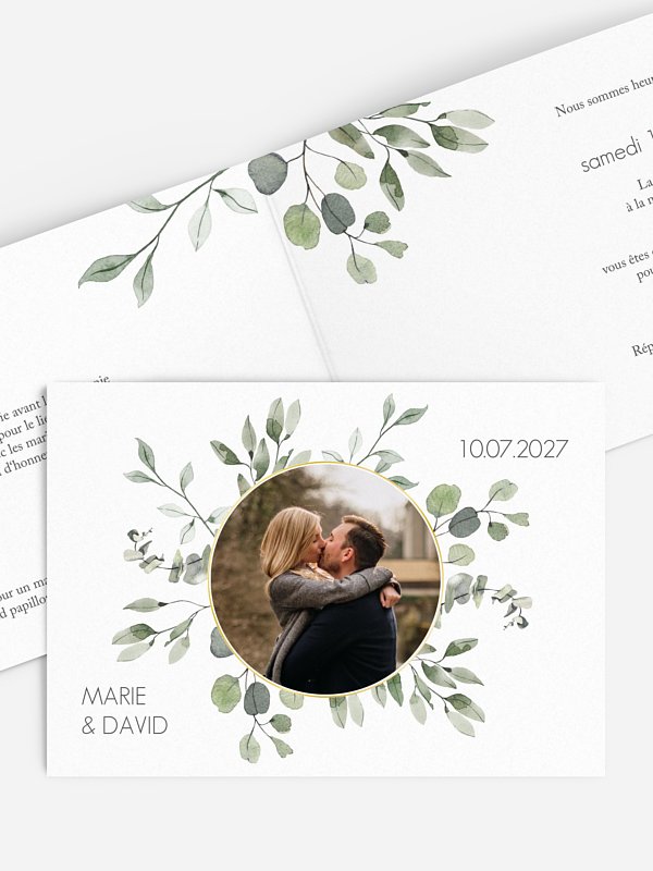 Feuilles d'eucalyptus