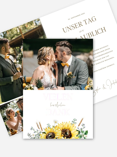 Sunflower Dream Sunflower Dream