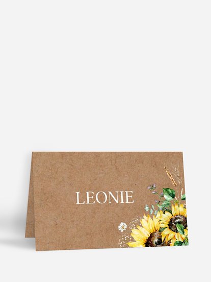 Sunflower Dream Sunflower Dream